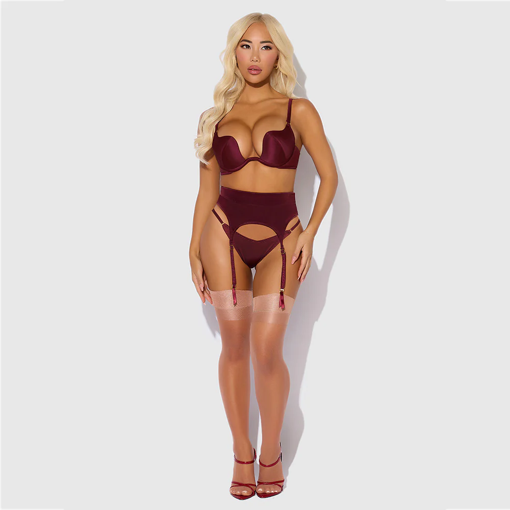 House of Desire Brigeta Satin Plunge Bra, Garter & Thong Set - Image 3