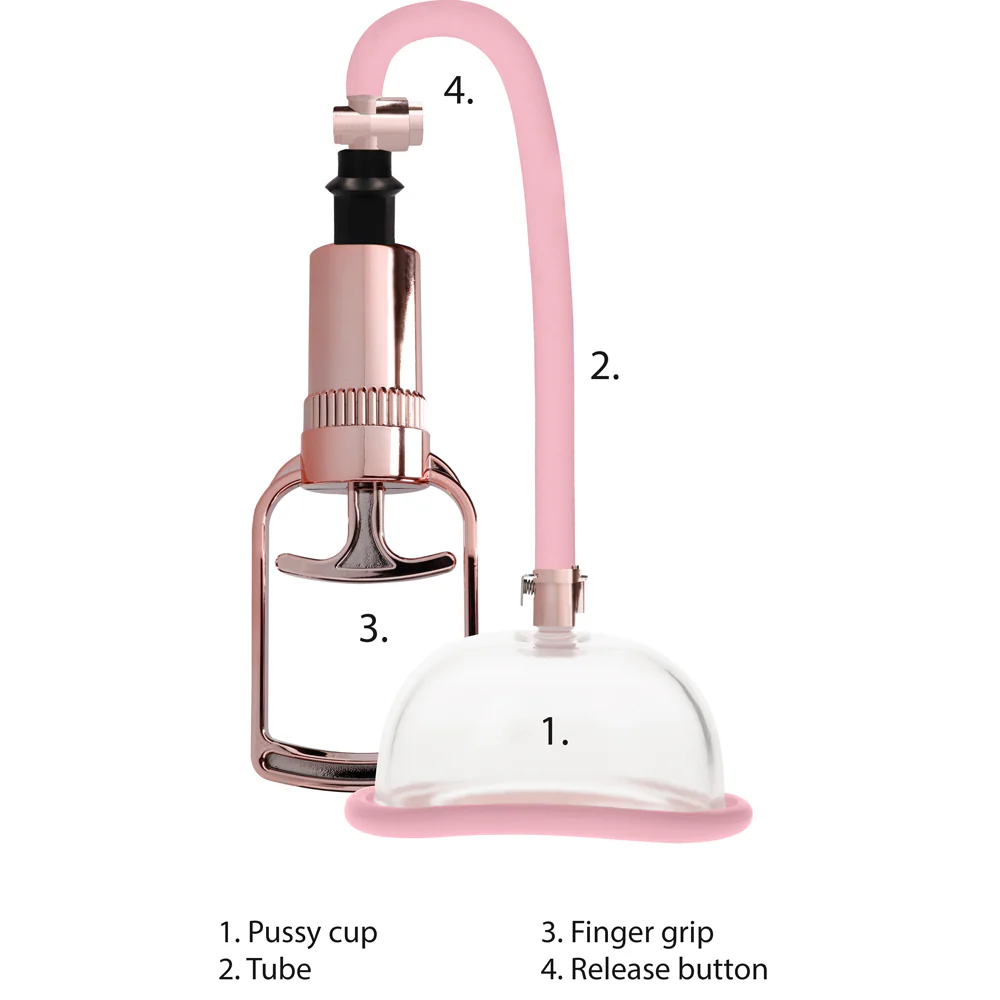 Pumped Pussy Pump - Image 4