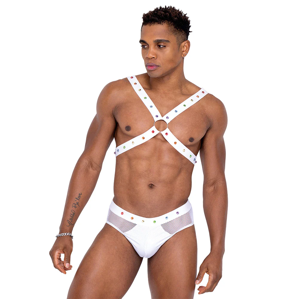 Roma Fishnet Mesh & Vinyl Rainbow Stud Pride Briefs - Image 3